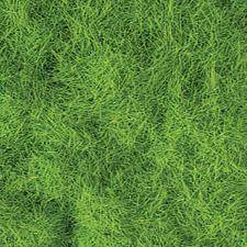 Green Spring Lawn Powder Maquette