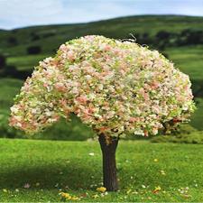 Tree with Pink Blossoms Maquette