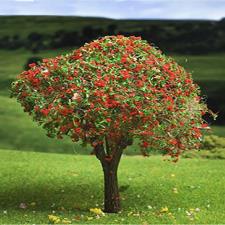 Tree with Red Blossoms Maquette