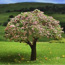 Tree with Purple Blossoms Maquette