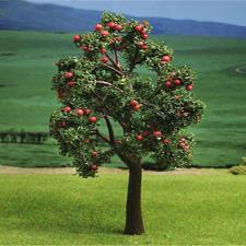 Hawthorn Tree Maquette