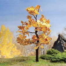 Yellow Platanus Maquette