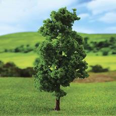 Fraxinus Excelsior Tree